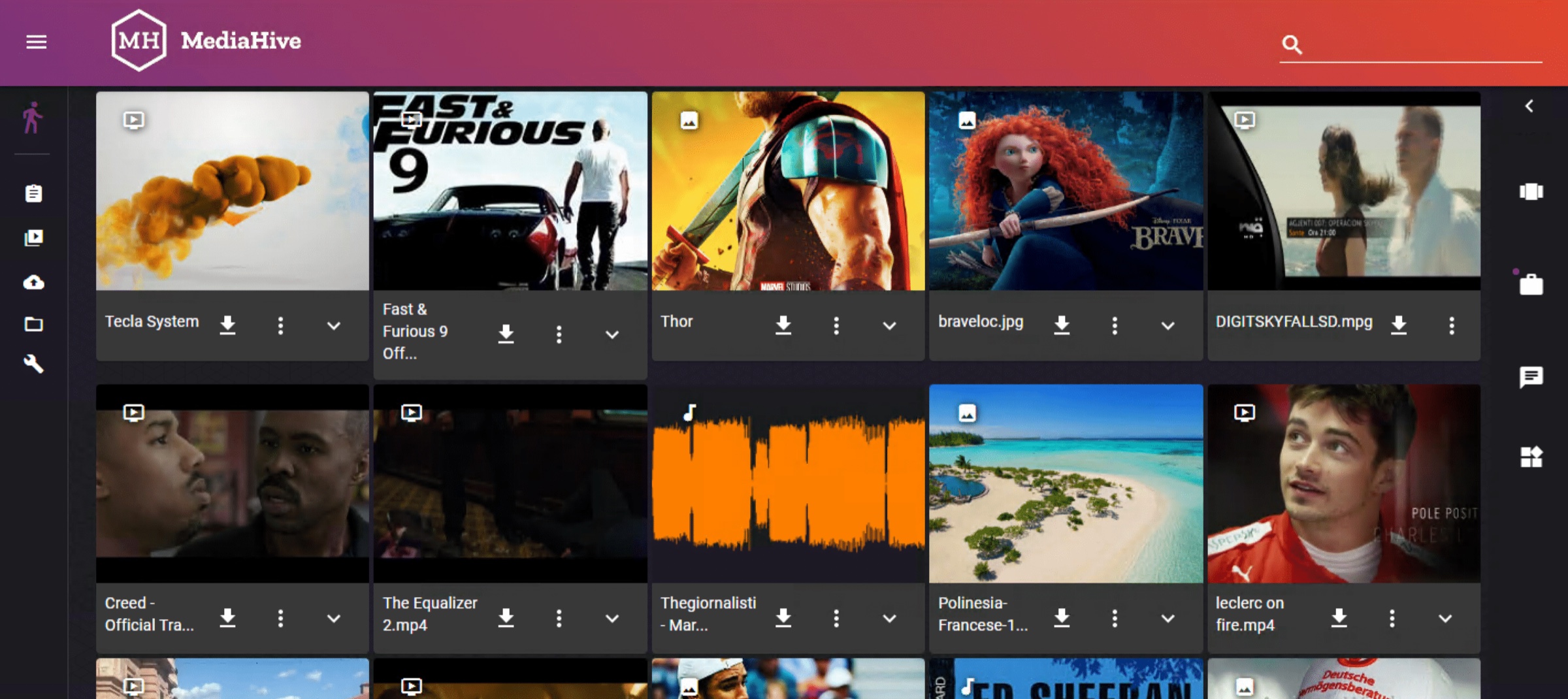 MediaHive asset browser showing a grid of indexed video, image and audio assets